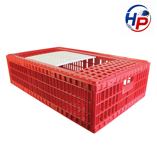 19 قفس مرغ زنده صادراتی PPN-502 - تصویر 1